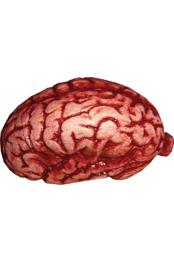Latex Brain Latex