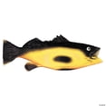 thumbnail image 1 of Morris Costumes Rubber Fish, 1 of 1
