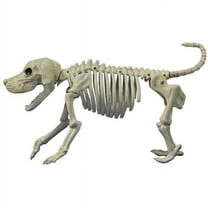 Morris Costumes SE18131 Beagle Bonez Costume