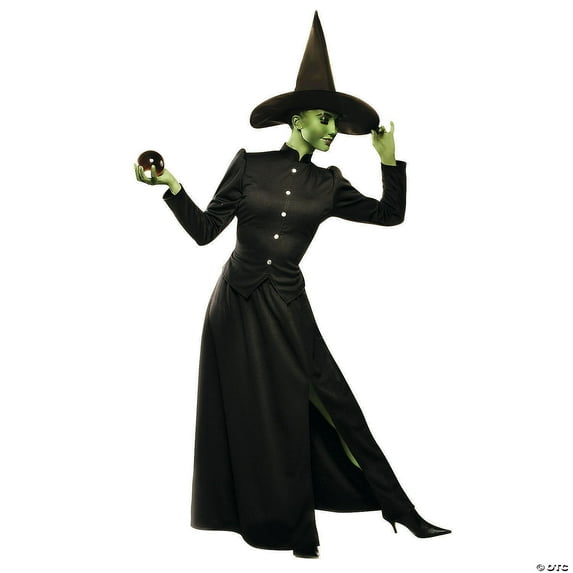 Morris Costumes Wizard of Oz Classic Evil Witch Women's Halloween Fancy-Dress Costume for Adult, M