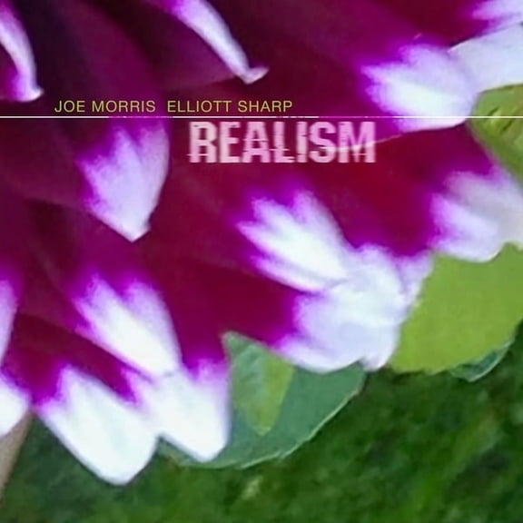 Morris,Joe / Sharp,Elliott - Realism - Music & Performance - CD