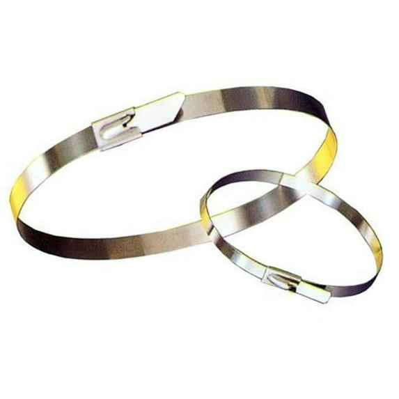 Morris Products 20918 Stainless Steel Ties 200 No. 14. 2 In. L X.18W, Pack Of 100