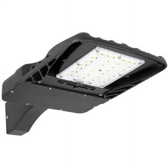 Morris Products 74165 Type III 100W, 11832 Lumens LED Driverless Area Flood & Security Light