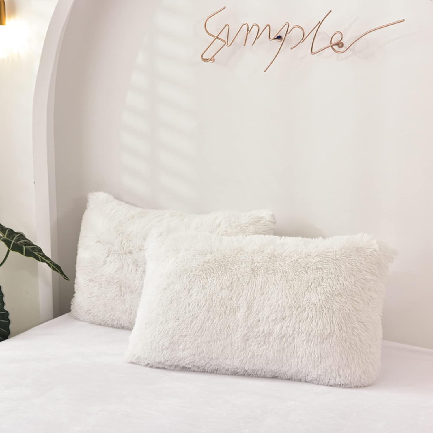 Curated visual reference: Gallery Detail: Morromorn Decorative Pillows Covers 2 Packs Faux Fur Pillow Cases