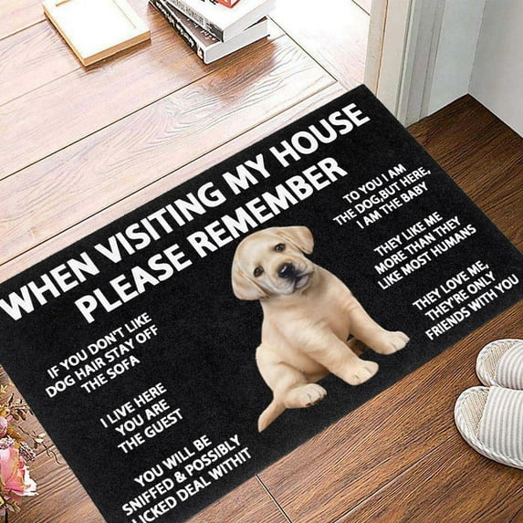 Mortilo Siberian Chihuahua Doormat Kitchen Bath Dog Interior Monologue Doormat Funny Cute Doormat Door Mat Welcome Friends Doormat Funny Doormat New Home Door Mat home decor living room B