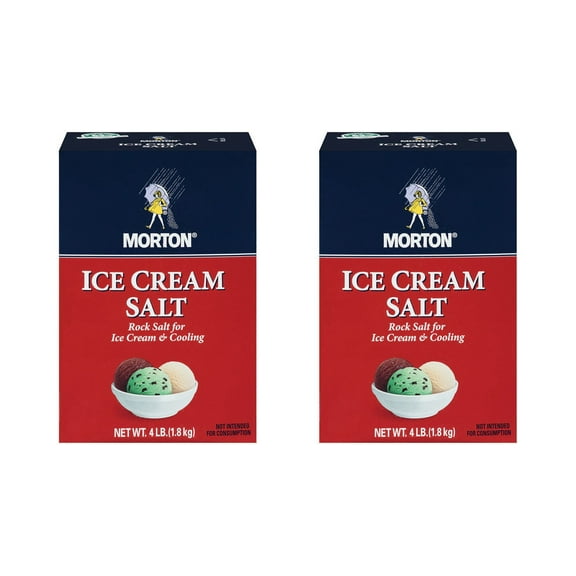 Mortons Salt Rock 4 Lb Pack Of 2