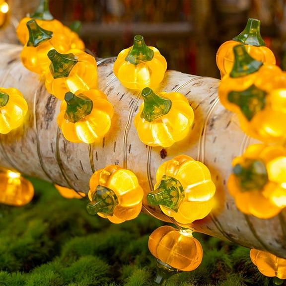 Morttic 10FT 30 LED Pumpkin Lights Outdoor Fall Lights Thanksgiving Decor Orange Fairy Lights with Remote & Timer Thanksgiving Lights Outdoor Battery Powered String Light for Christmas Party Harvest