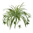 thumbnail image 1 of Morttic 2 Pack Artificial Flowers Spider Plants Fake Silk Plant Faux Greenery Artificial Plants for Home Wall Indoor Outdside, Green, 1 of 6