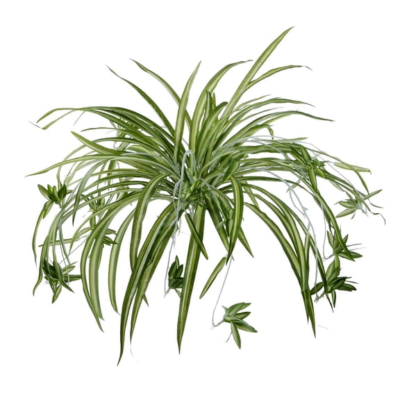 Morttic 2 Pack Artificial Flowers Spider Plants Fake Silk Plant Faux Greenery Artificial Plants for Home Wall Indoor Outdside, Green