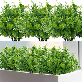TEMCHY Artificial Plants Flowers Faux Boxwood Shrubs 6 Pack, Lifelike Fake  Greenery Foliage with 42 Stems for Garden, Patio Yard, Wedding, Office and