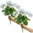 thumbnail image 1 of Morttic 2PCS 14'' Artificial Geraniums Silk Flowers Plants Home Outdoor Decor Garden Window Box, 1 of 6