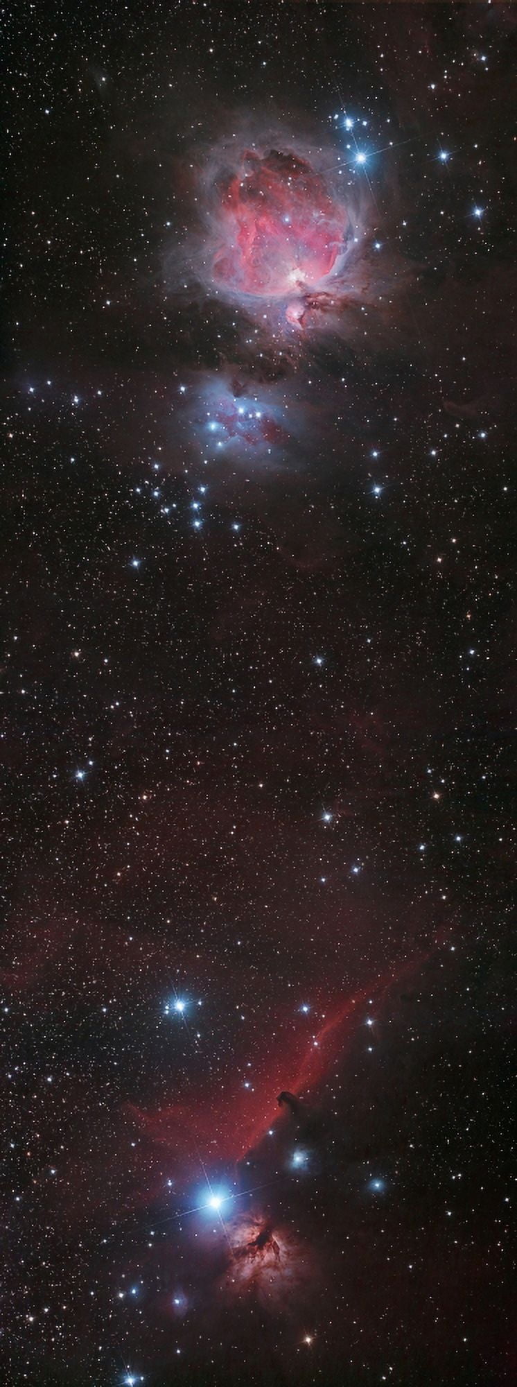 Mosaic of Orion Nebula and Horsehead Nebula Canvas Art - Philip HartStocktrek Images (18 x 46)