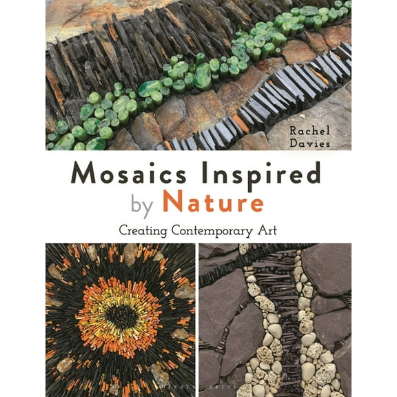 Mosaics Inspired by Nature : Creating Contemporary Art (Paperback)
