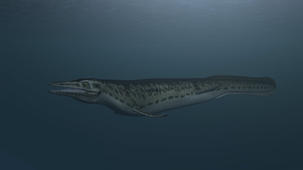 Mosasaur swimming in prehistoric waters Canvas Art - Kostyantyn IvanyshenStocktrek Images (19 x 11)