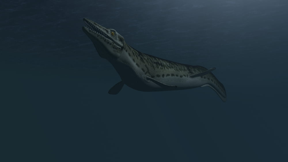 Mosasaur swimming in prehistoric waters Canvas Art - Kostyantyn IvanyshenStocktrek Images (38 x 22)