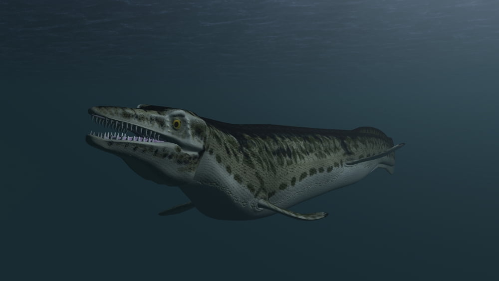 Mosasaur swimming in prehistoric waters Canvas Art - Kostyantyn IvanyshenStocktrek Images (38 x 22)