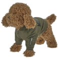 thumbnail image 1 of Moschino Green Pets Capsule Bomber Jacket, Brand Size 40 cm, 1 of 1