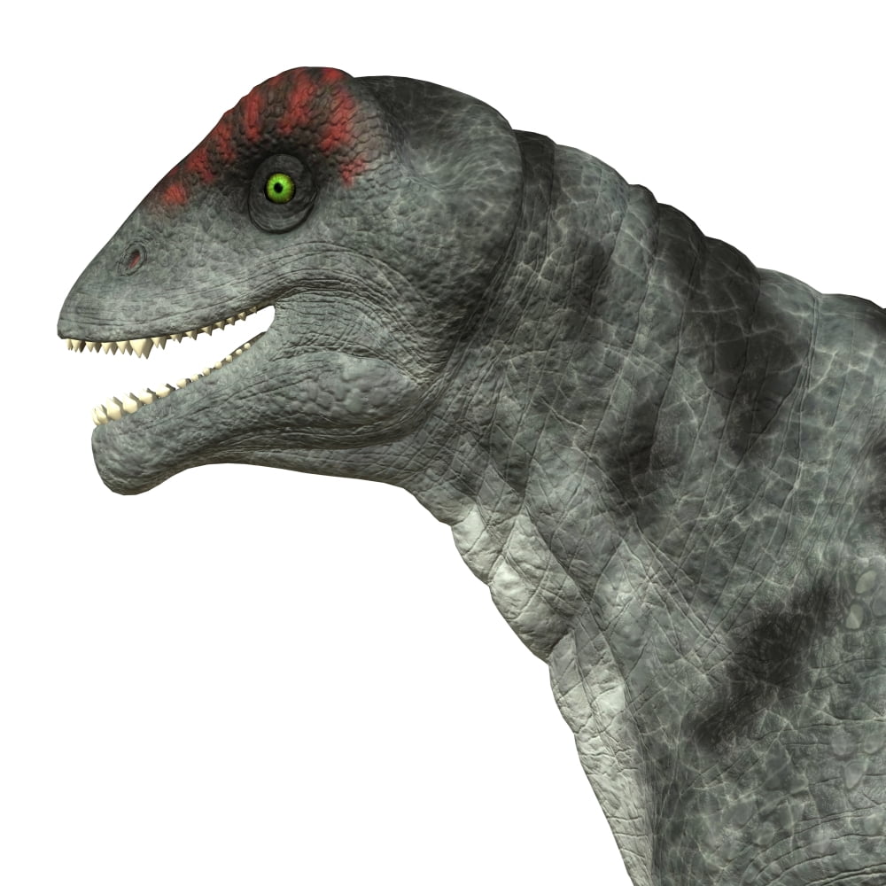 Moschops dinosaur white background Canvas Art - Corey FordStocktrek Images (28 x 28)