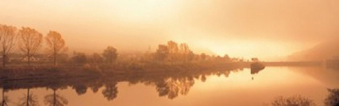Mosel River Germany Canvas Art - Panoramic Images (36 x 12)