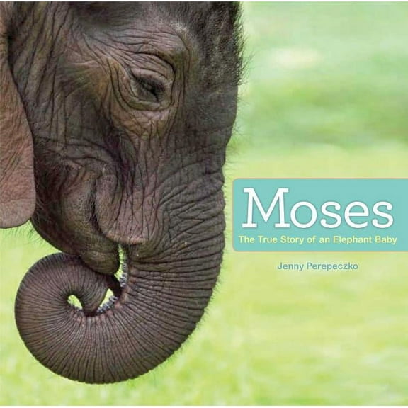 Moses : The True Story of an Elephant Baby (Hardcover)