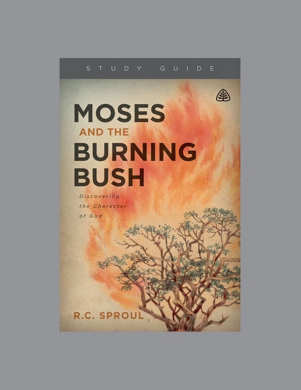 Moses and the Burning Bush, Teaching Series Study Guide (Paperback