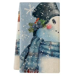  Kitchen Towels Dish Cloths 2 Pieces, Christmas Winter Grey  Snowman Looking at Magpie Squirrel Dish Towels Absorbent Kitchen Hand Towels,Farmhouse  Tea Towels Drying Cloth Towel for Kitchen,18x28 : Home & Kitchen