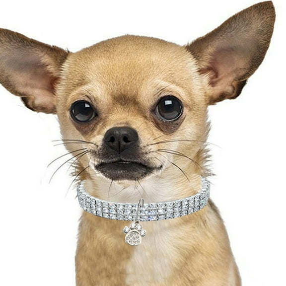 Mosey Beautiful Dog Collar Attractive Pet Supplies Jewelry Accessories