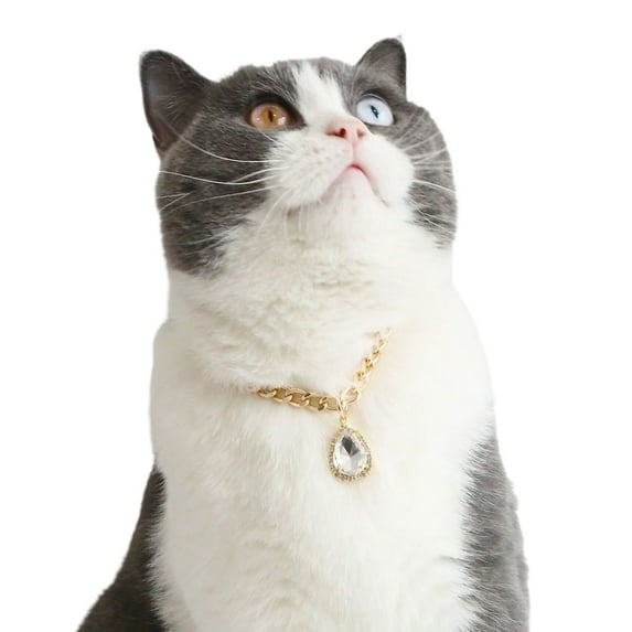 Mosey Excellent Pet Necklace Adjustable for Shooting Corrosion Resistant