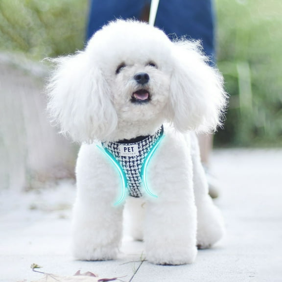 Mosey Great Pet Harness Eco-friendly   for Small Animals   Easy-wearing