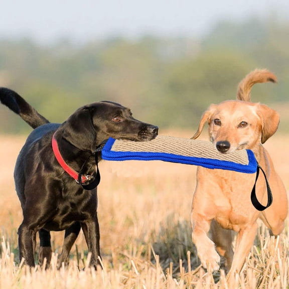 Mosey Practical Dog Bite Toy Strong Handles   Pet Supplies   Wear-resistant