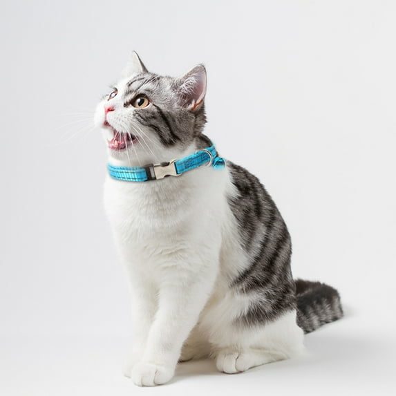 Mosey Practical Kitten Collar Reusable for Kitty Decorative
