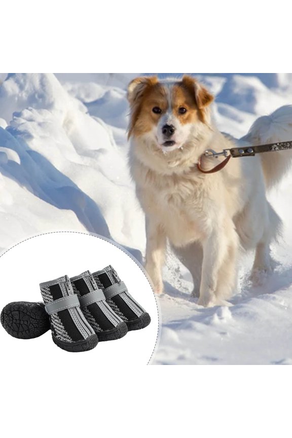 Pretty Puppy Shoes Lightweight   for Inoor   Comfortable