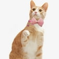 thumbnail image 1 of Mosey Stylish Cat Collar Exquisite   for Party   Comfortable, 1 of 7