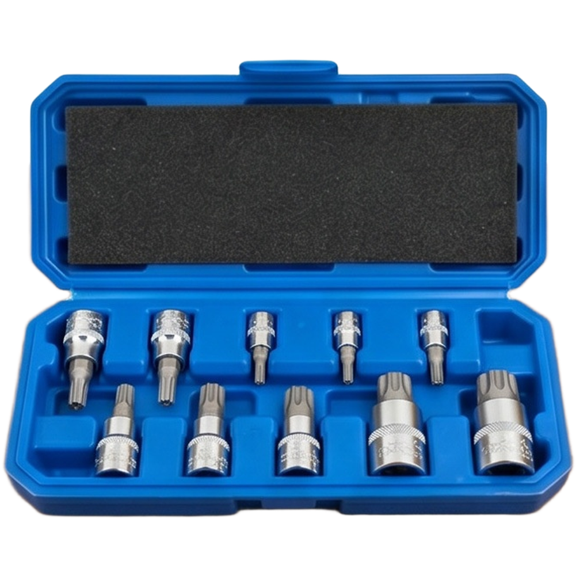 Mosiee 10 Piece 12 Point Screwdriver Socket Set 1/4 Inch Drive Compact Chrome Vanadium