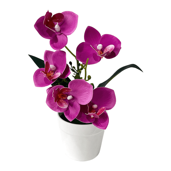 Mosiee Lifelike Miniature Potted Butterfly Orchid Plant - No Maintenance, 7 Colors Rose Red