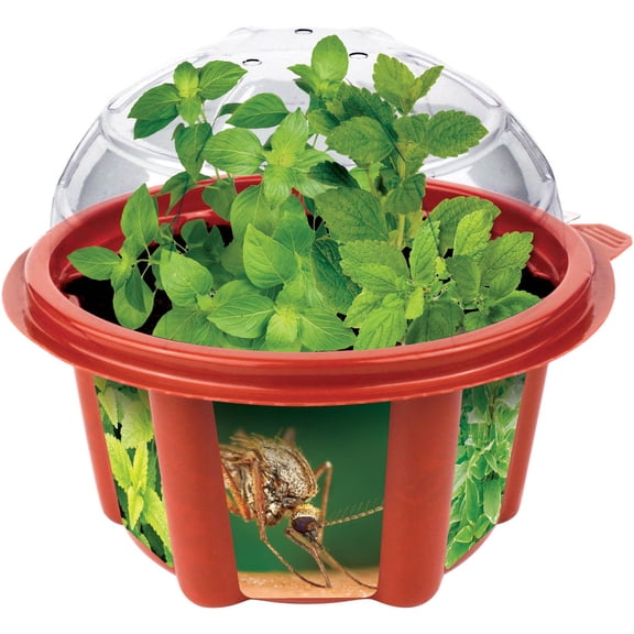 Mosquito Beater Mini Dome