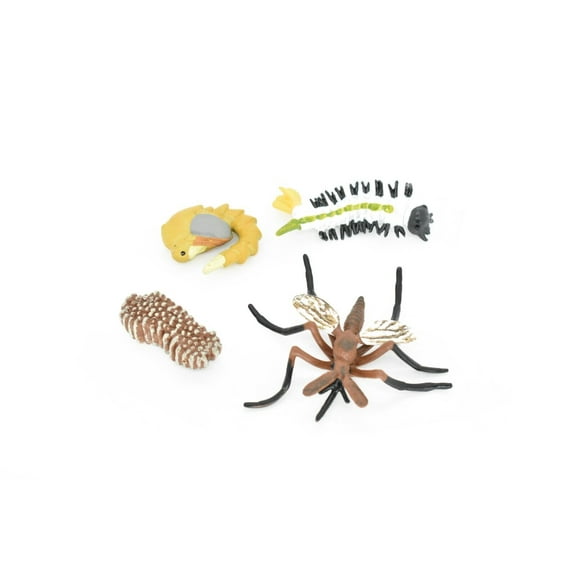 Mosquito, Learn the Mosquito Life Cycle, Very Nice Plastic Figure, Model, Realistic Replica, Educational, Figurine, Animal, Life Like, 4 Stages, 2 1/2" CH02 B231