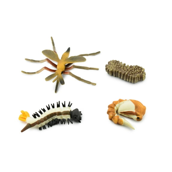 Mosquito, Life Cycle of a Mosquito, 4 Stages, Museum Quality, Hand Painted, Rubber Insect, Figure, Model, Realistic, Educational, Gift, 3" CH478 BB150