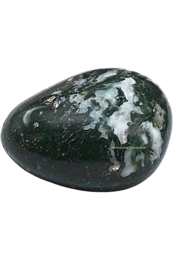 Moss Agate Crystal Tumbled Stones Polished Rocks (1 OZ)
