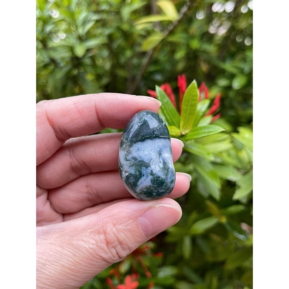 Moss Agate Tumbled Stones, Polished Natural Moss Agate Gemstone, Moss Agate Healing Crystals (Moss Agate, 0.25 Pound)