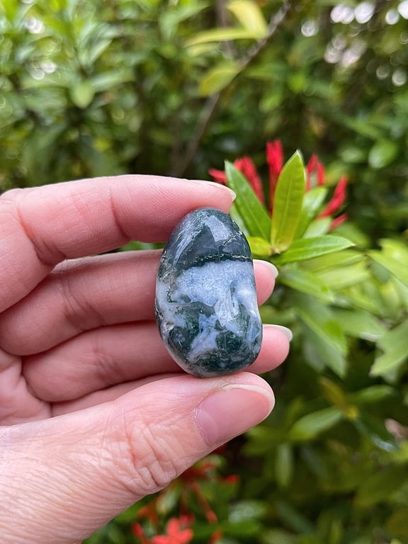 Moss Agate Tumbled Stones, Polished Natural Moss Agate Gemstone, Moss Agate Healing Crystals (Moss Agate, 0.5 Pound)