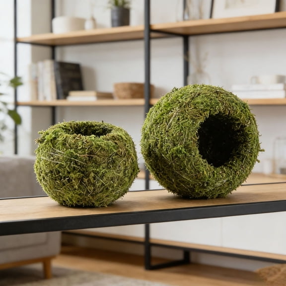 Moss Ball Planter, Natural Kokedama Plant Holder for Home Decor