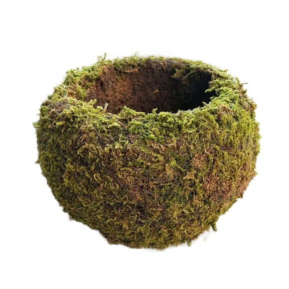 Moss Ball Style Planter, 5.91 Inch Breathable Self-Absorbent Bonsai Planter Pot, Indoor Outdoor Planter for Succulent Orchid Fern, DIY Gardening Container