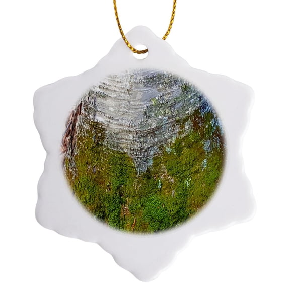 3drose, Moss Birch Tree Bark, 3 inch Snowflake Porcelain Ornament