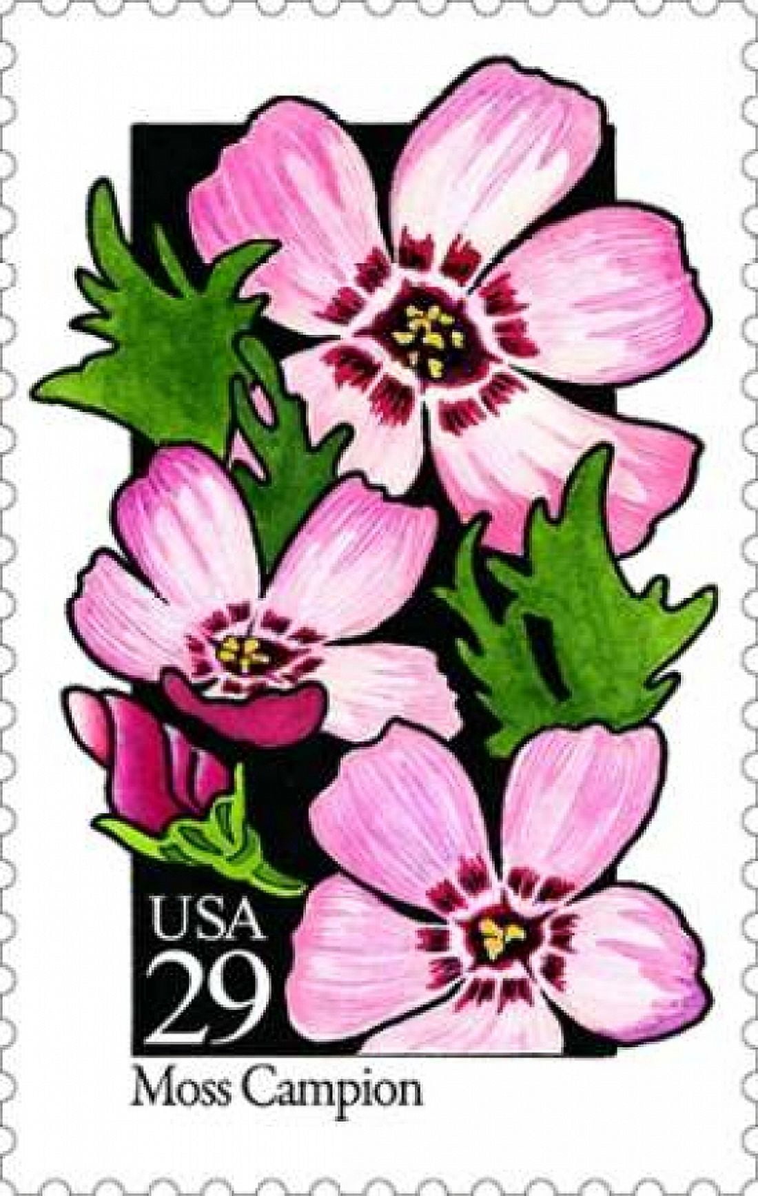 Moss Campion Canvas Art - US POSTAL SERVICE (12 x 18)