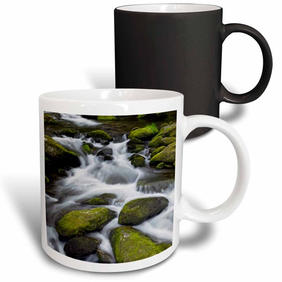 3drose, Moss Covered Boulders and Stream, Little Pigeon River, Tennessee, 11oz Magic Transforming Mug
