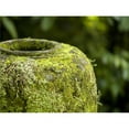 thumbnail image 1 of Moss Covered Urn Poster Print, 20 x 15, 1 of 1
