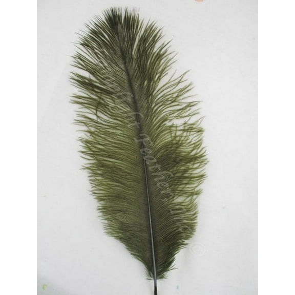 Moss Green Mini Ostrich Craft Feathers 5-8 Inch per 24