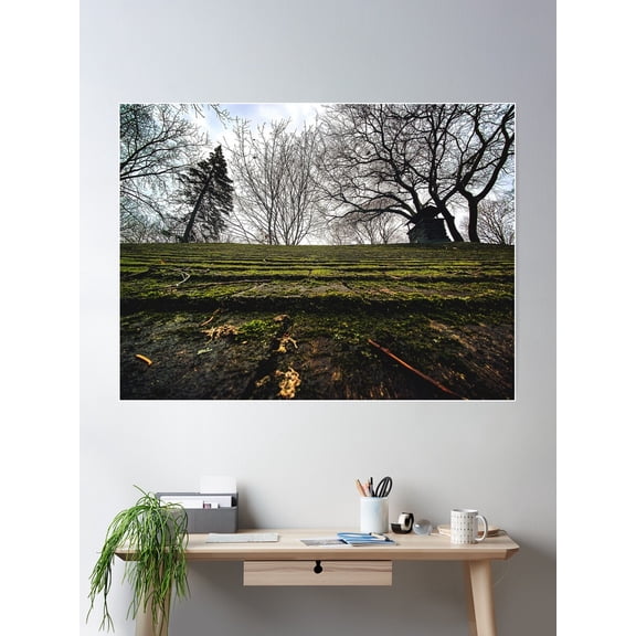 Moss On The Rooftops Poster Wall Art, Modern Wall Decor For Living Room Bedroom, 8x12 UNFRAMED