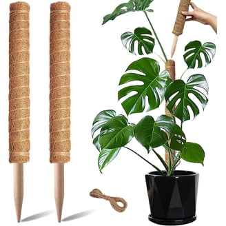 Moss Stick